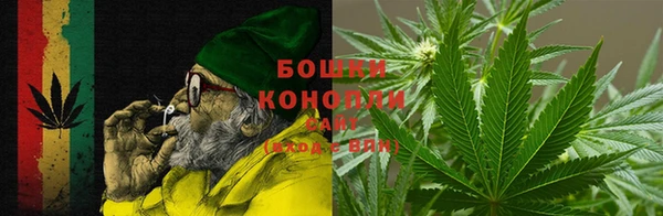 молекула духа Магадан