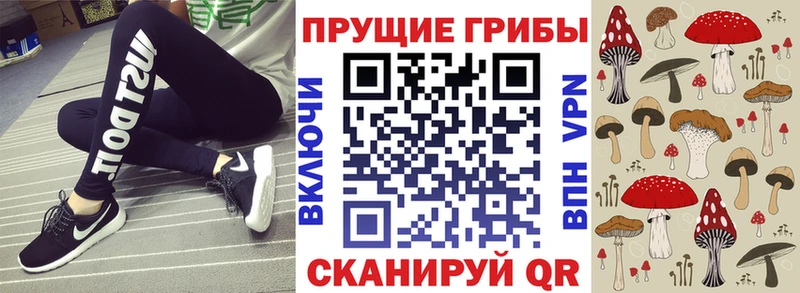 Купить где  Альметьевск  Галлюциногенные грибы MAGIC MUSHROOMS 